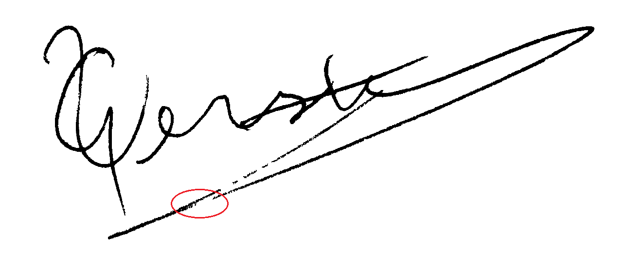 signature image having unconnected lines