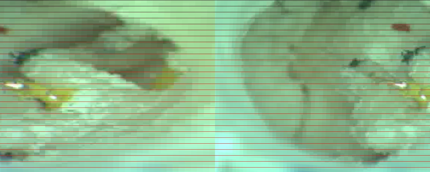Stereo rectification image pair