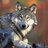 wisewolf76 gravatar image